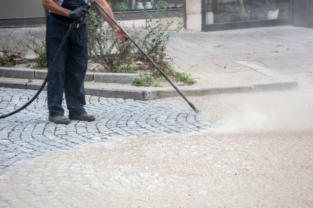 Best Animal Enclosure Cleaning  in Port Arthur, TX